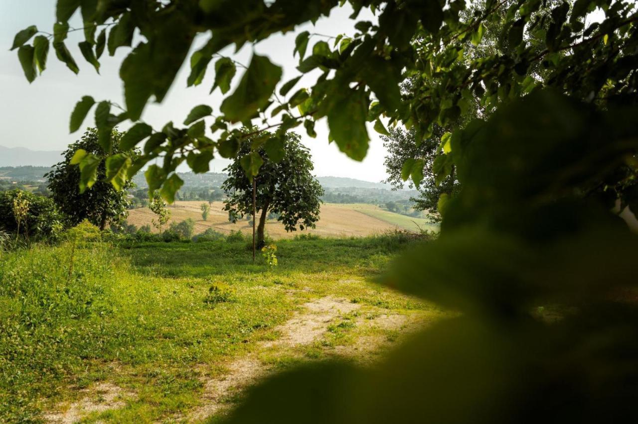 Tenuta I Gelsi Bed & Breakfast Benevento Exterior foto